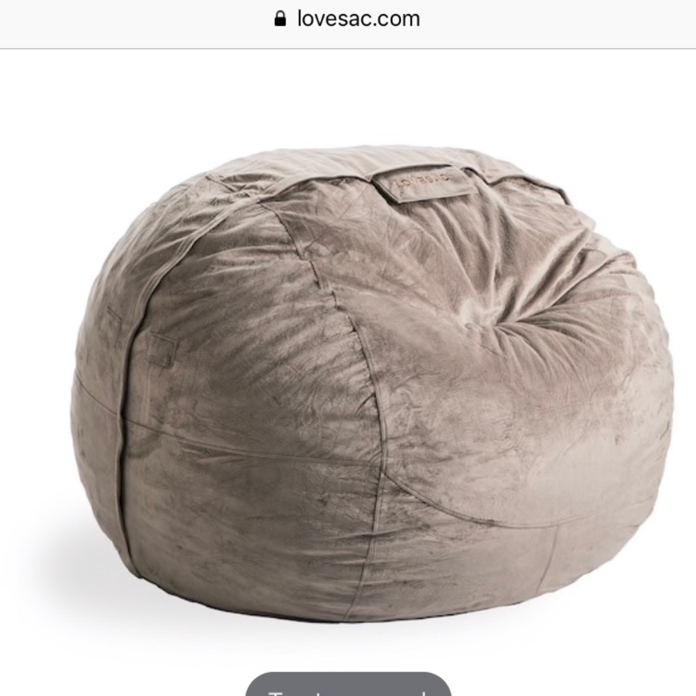 LoveSac Bean Bag Chair - Fits 4